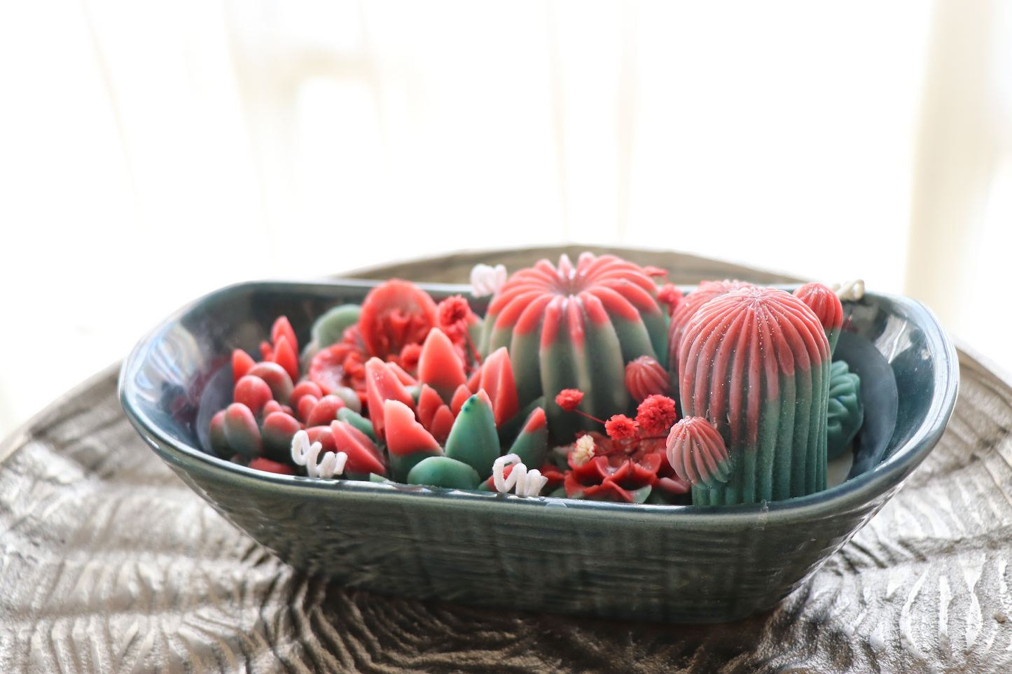 Crimson Cactus Bloom