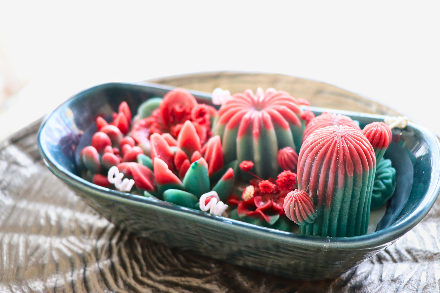 Crimson Cactus Bloom