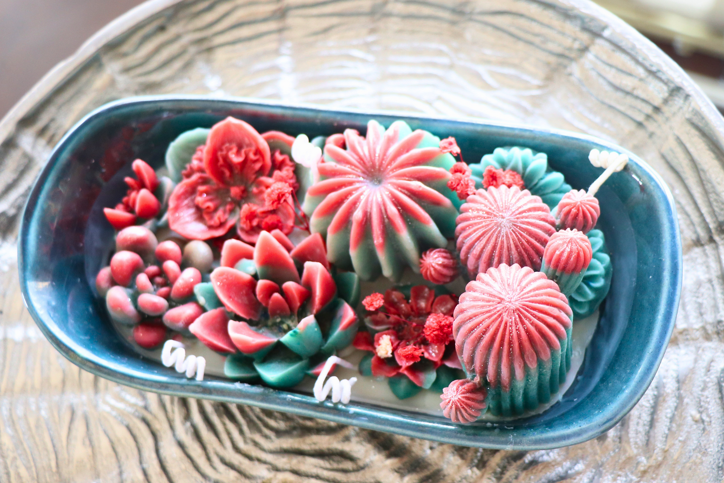 Crimson Cactus Bloom