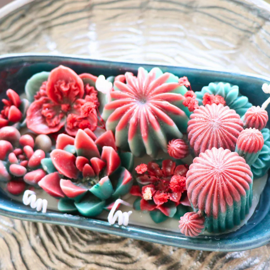 Crimson Cactus Bloom